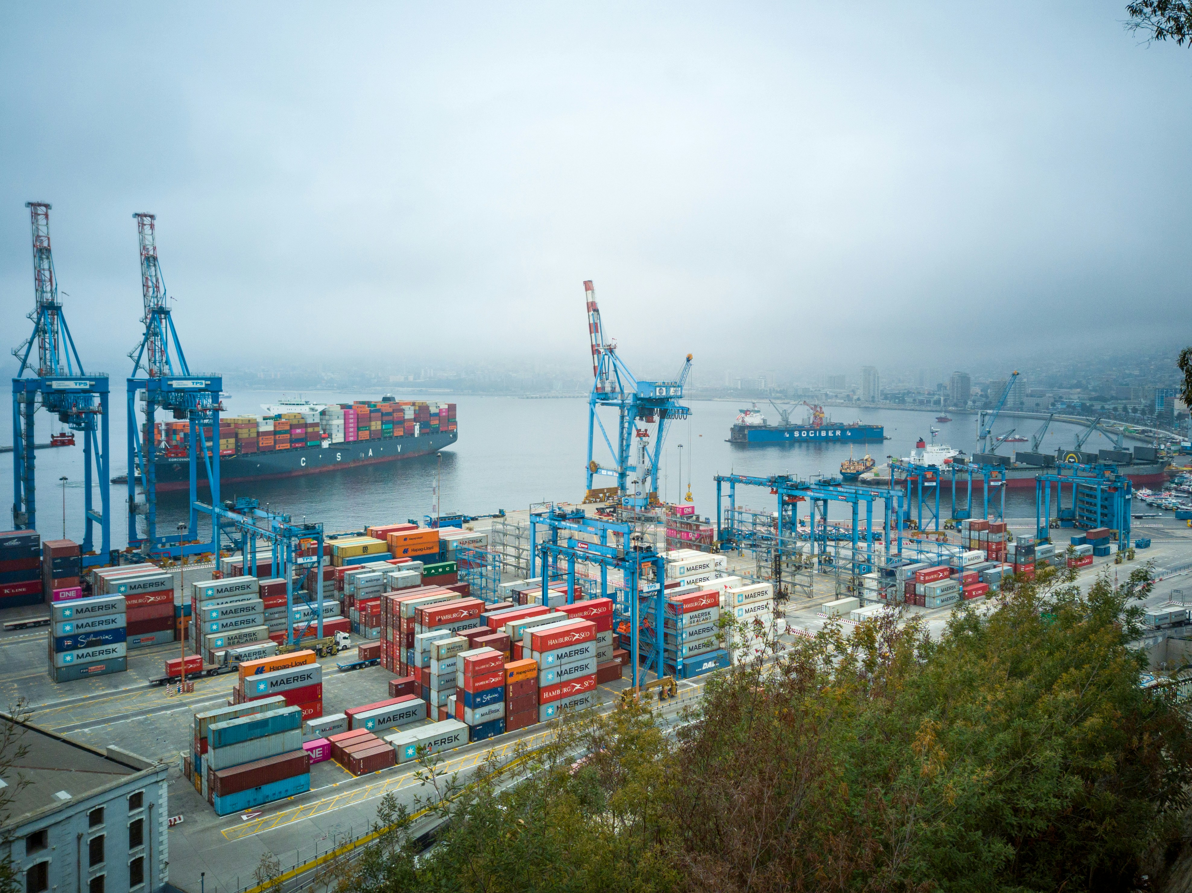 Export operations and logistics at Nezeth International